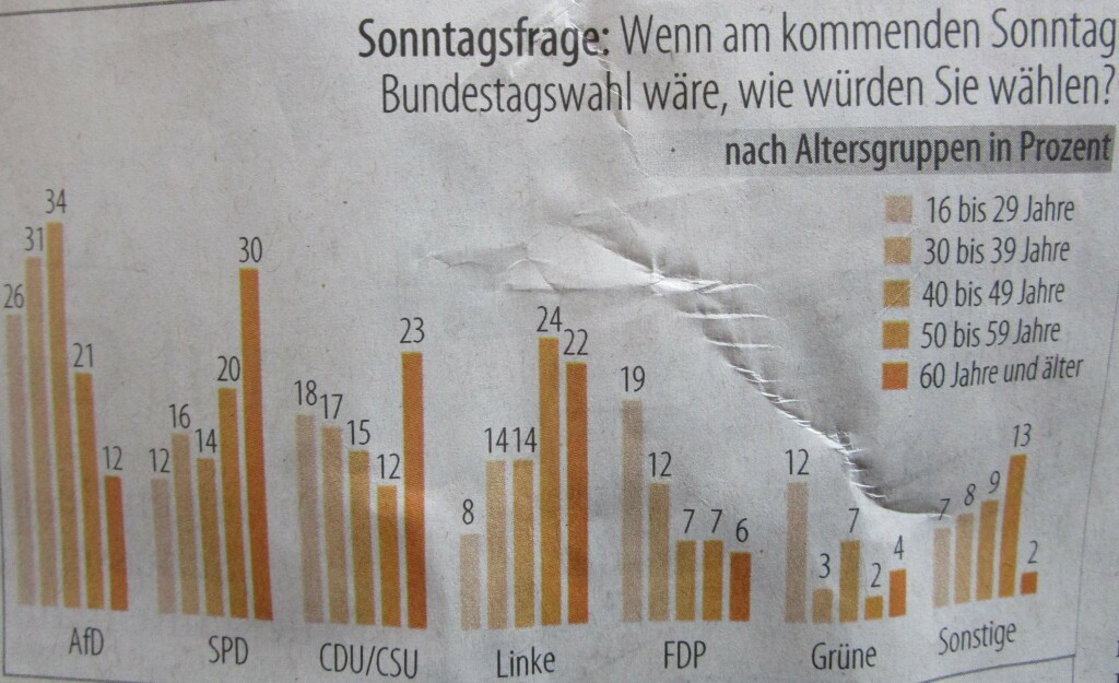 AfDJungwähler2